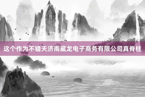 这个作为不错天济南藏龙电子商务有限公司真脊柱