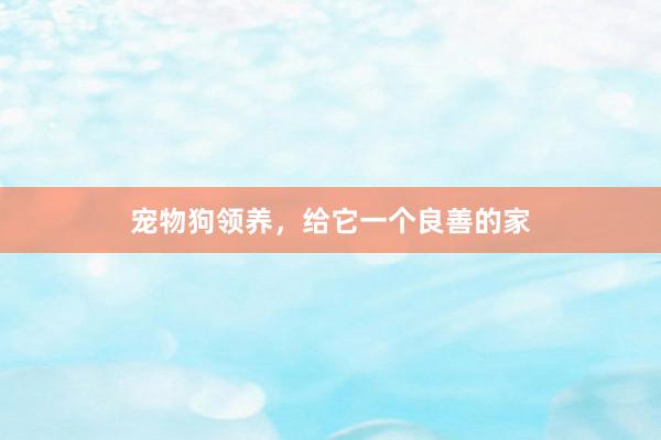 宠物狗领养，给它一个良善的家