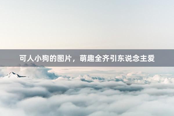 可人小狗的图片,萌趣全齐引东说念主爱