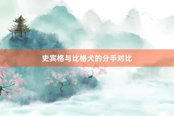 史宾格与比格犬的分手对比
